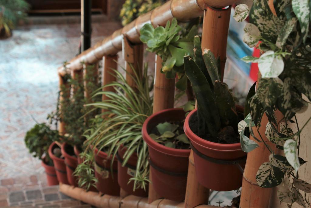 Hostel Sendero De Volcanes Latacunga Εξωτερικό φωτογραφία